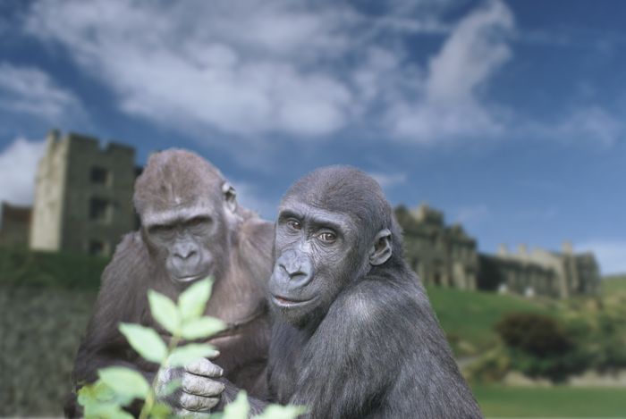 Two Irish Rovers checking out a local Castle.