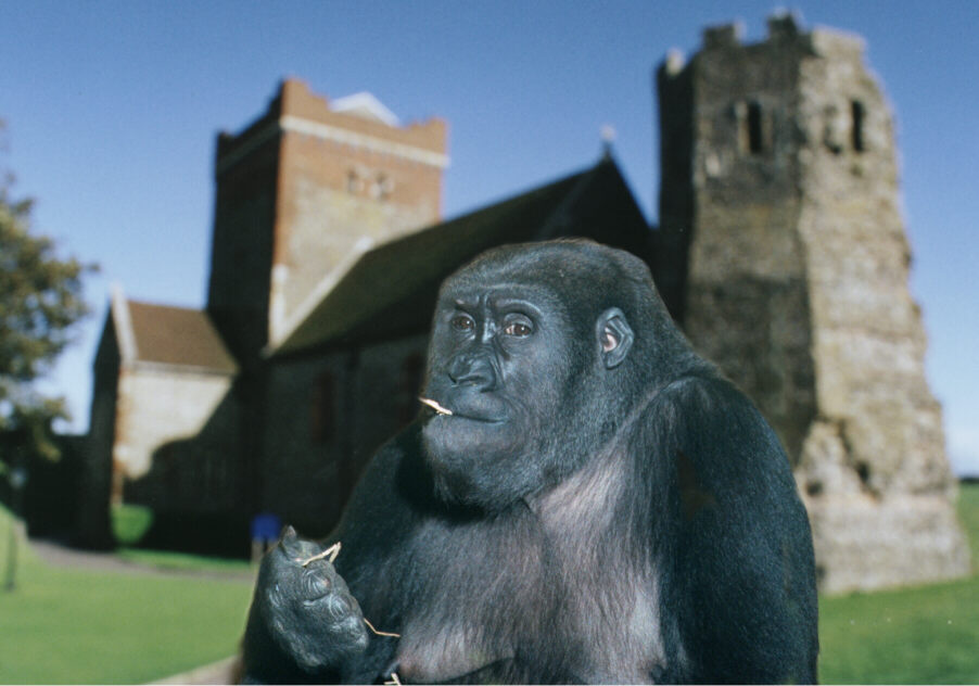 Bahati at Dover Castle